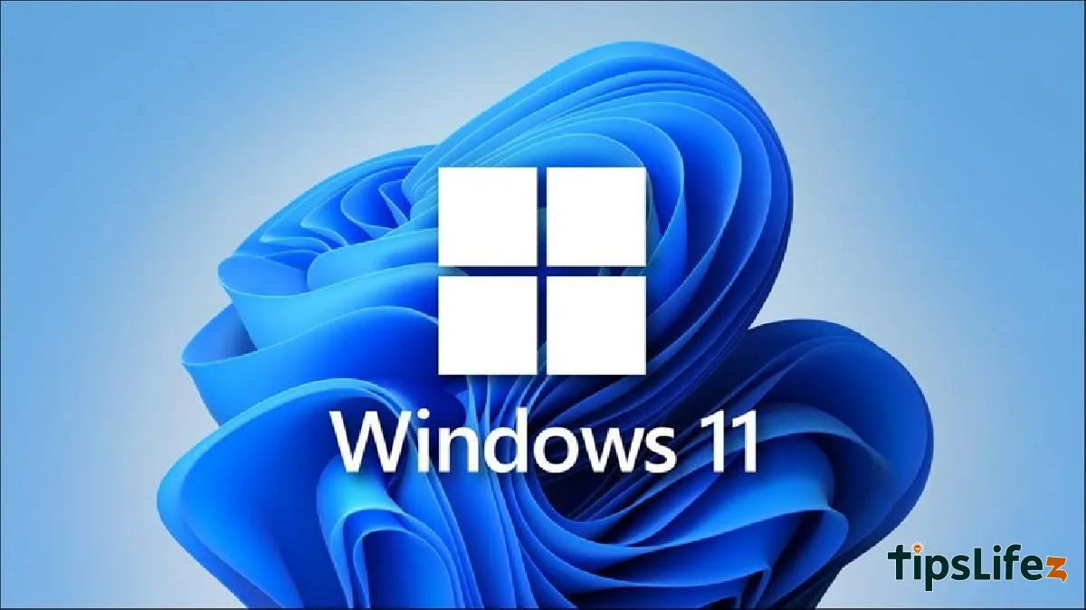 15 formas de optimizar Windows 11 para que tu computadora funcione más fluida