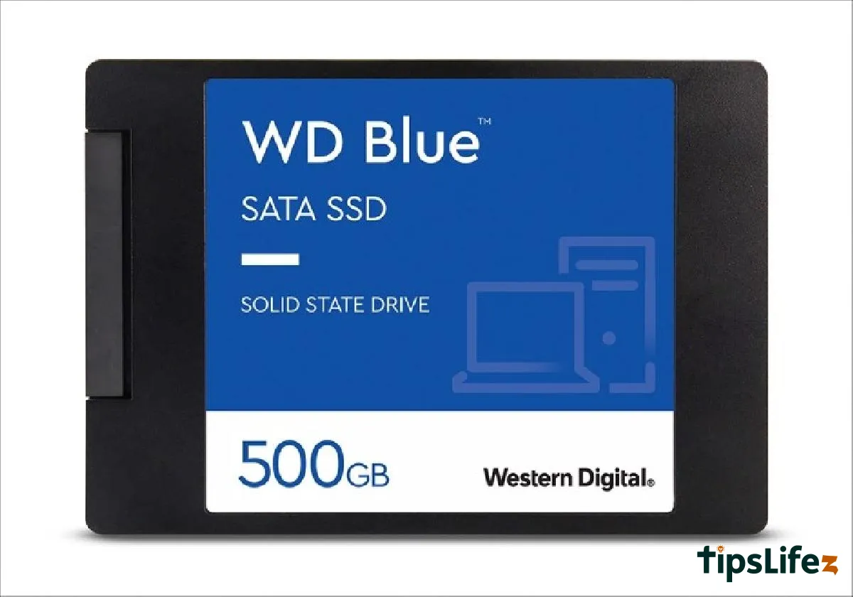 Detailed Guide on Choosing SSD for All Users
