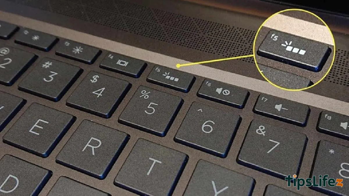You can check the keyboard for a backlight icon