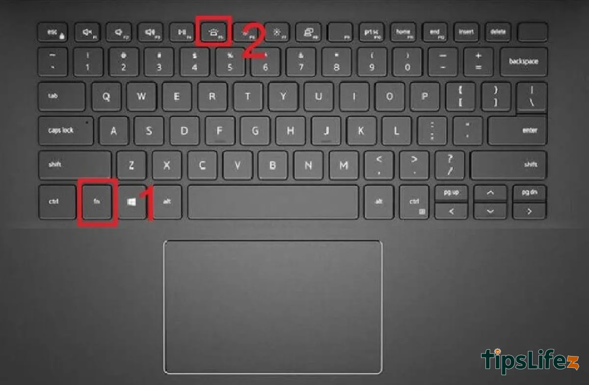 Press the Fn and F5 key combination