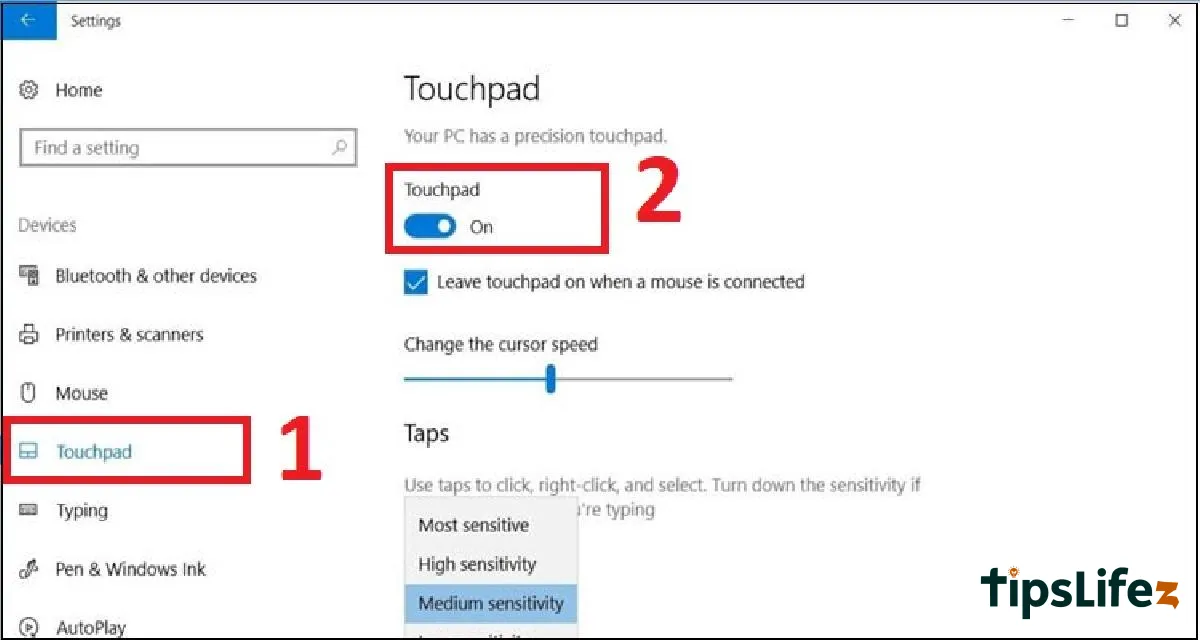 Paso 2: Selecciona la opción Touchpad en el lado izquierdo de la interfaz Haz clic en la barra deslizante en la sección Touchpad para activar y desactivar