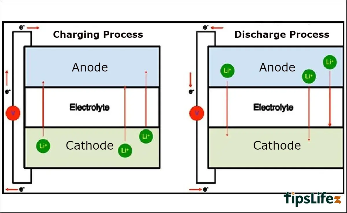 リチウム電池は、5つの主要構成要素で構成されています